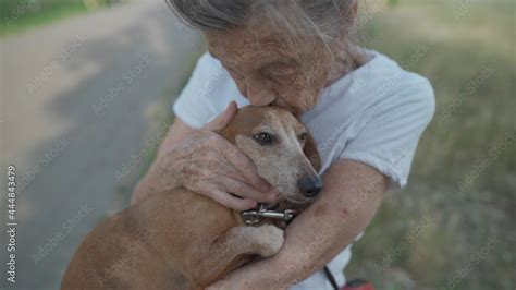 Animal theme is a lonely old woman best friend. Caucasian 90 years old senior female is happy to ...