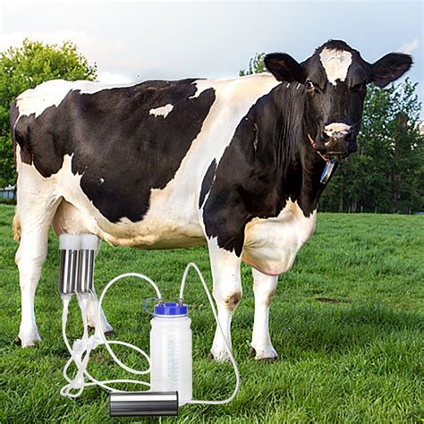 Milking Machine for Cow or Sheep, Portable Electric Vacuum Pump Cow Sheep Milker Milking Machine ...