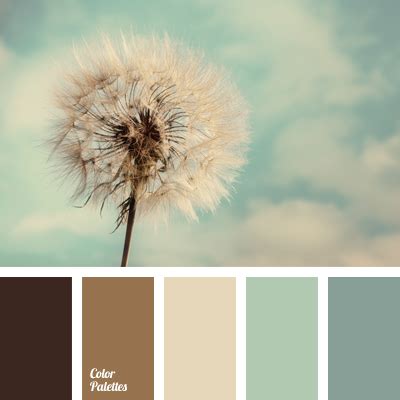 heavenly and brown | Color Palette Ideas