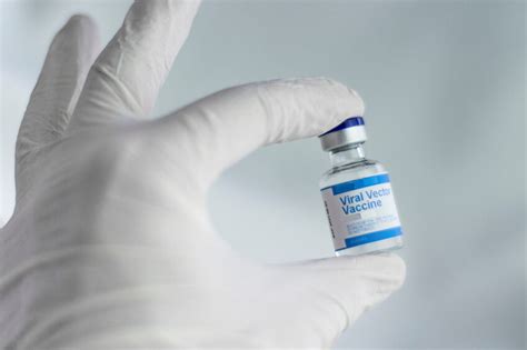 Bird flu vaccine testing starts in the US - Poultry World