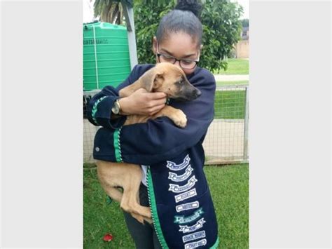 Sir John Adamson High School donates to the SPCA | Southern Courier