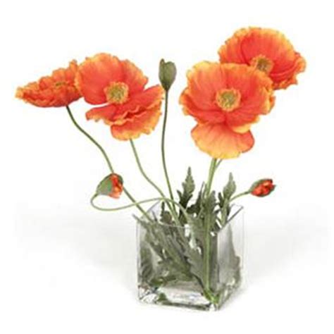 Spanish Poppy Floral Arrangement | OJCommerce