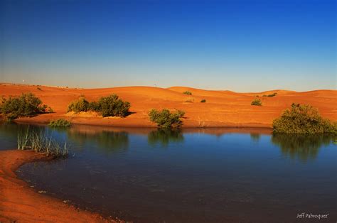 Al Ain Oasis # 2 (Explored) | Commonly known in Al Ain as Ti… | Flickr