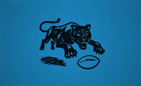 Carolina Panthers Hidden History on Behance