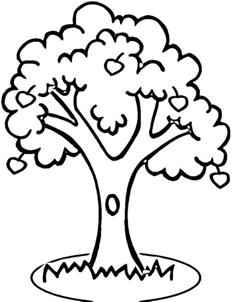 Free Tree Outline Cliparts, Download Free Tree Outline Cliparts png images, Free ClipArts on ...