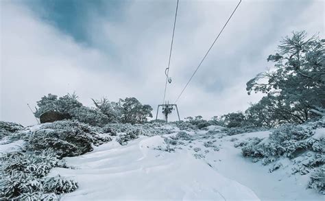 Does It Snow In Australia? The Full Guide To Seeing Snow in Australia