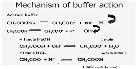 Mechanism of Buffer Action - QS Study