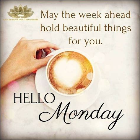 16 December 2019 Good Morning 早上好！ | Good morning happy monday, Monday morning quotes, Hello monday