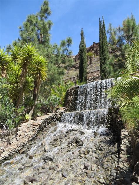 Palmitos Park | Gran Canaria | Gran canaria, Tenerife, Canary islands