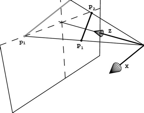 Full perspective projection geometry. | Download Scientific Diagram