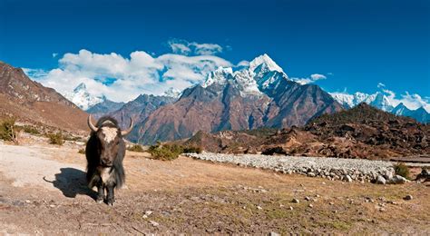 Luxury Hotels in Nepal, Luxury Accommodation in Nepal