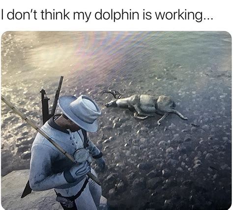 Laughs in dolphin : r/gaming