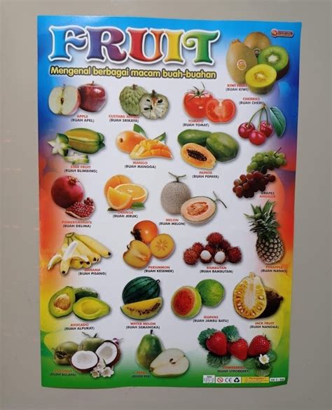 gambar buah buahan dari kertas ada nama fruits - Sean Glover