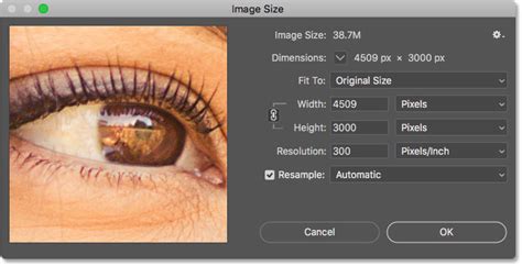 Pixels, Image Size and Image Resolution in Photoshop