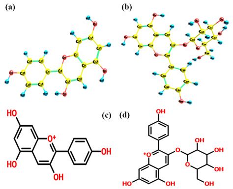 Optimized conformers of (a) pelargonidin, (b)... | Download Scientific Diagram