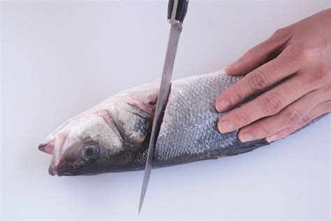 How To Fillet a Round Fish - Leiths Education