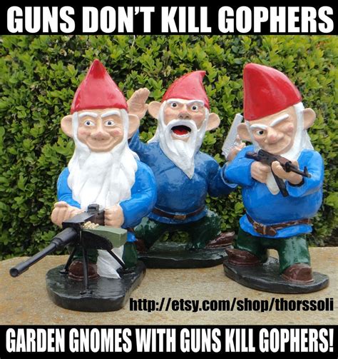 angry/upset gnomes pictures - Google Search | Gnome garden, Funny garden gnomes, Garden gnomes ...