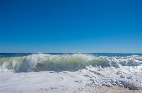 Fire Island National Seashore Beaches Reopen For Swimming After Two ...