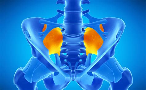 🥇 San Jose CA Sacroiliac Dysfunction/Syndrome Treatment | Los Gatos