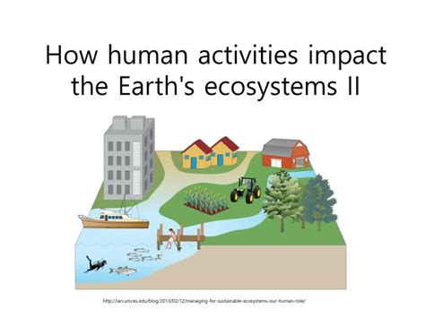 PPT - How human activities impact the Earth's ecosystems II PowerPoint Presentation - ID:3463993