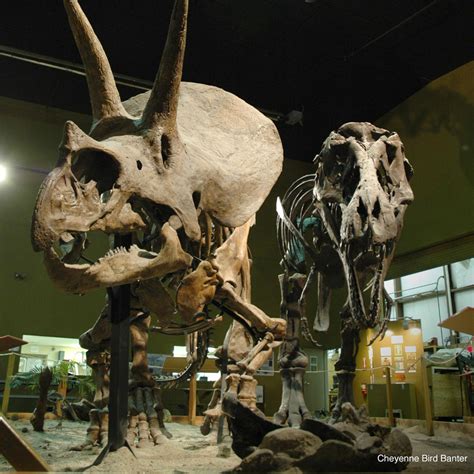 Wyoming Dinosaur Center in Thermopolis, WY