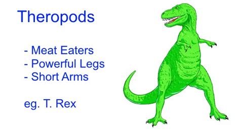 Different Types of Dinosaurs for Kids