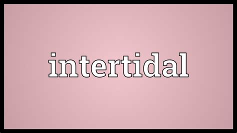 Intertidal Meaning - YouTube