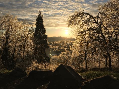 Ice storm Eugene Oregon : r/pics