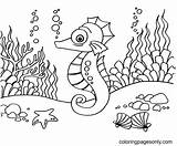 60 coloriages Dhippocampes  ColoringPagesOnlycom sketch template