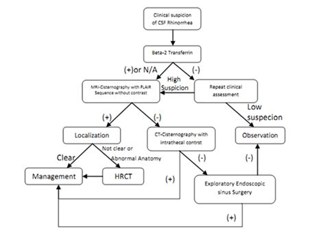 Current Approach to Cerebrospinal Fluid Rhinorrhea Diagnosis and ...