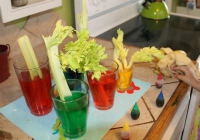 100 Best Food science experiments and projects for kids