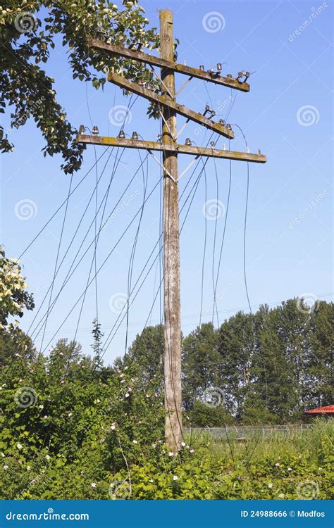 Downed Power Lines Royalty Free Stock Image - Image: 24988666