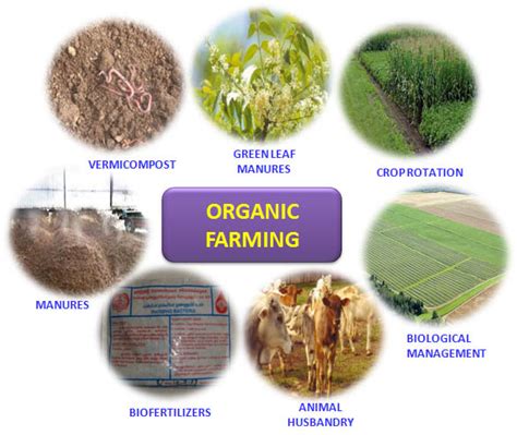 Organic: Methods Of Organic Farming