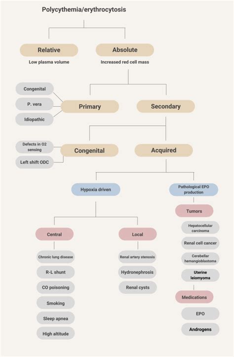 What are some causes of secondary erythrocytosis? • The Blood Project