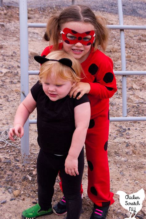 Miraculous Ladybug And Cat Noir Costumes Does ladybug constantly winning battles singlehandedly ...