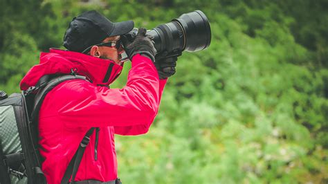 A Guide to Birding with Long Lenses | B&H eXplora