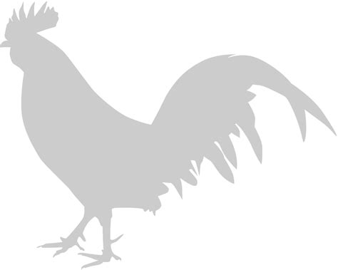 Chicken rooster 36629706 Vector Art at Vecteezy