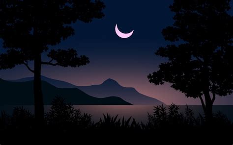 Premium Vector | Beautiful night with crescent moon landscape