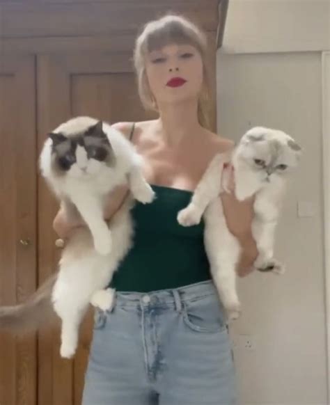 Taylor Swift | Taylor swift cat, Taylor swift fan, Taylor swift new