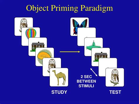 PPT - Priming, Implicit Memory, and the Brain: A Neuroimaging Perspective Daniel L. Schacter ...