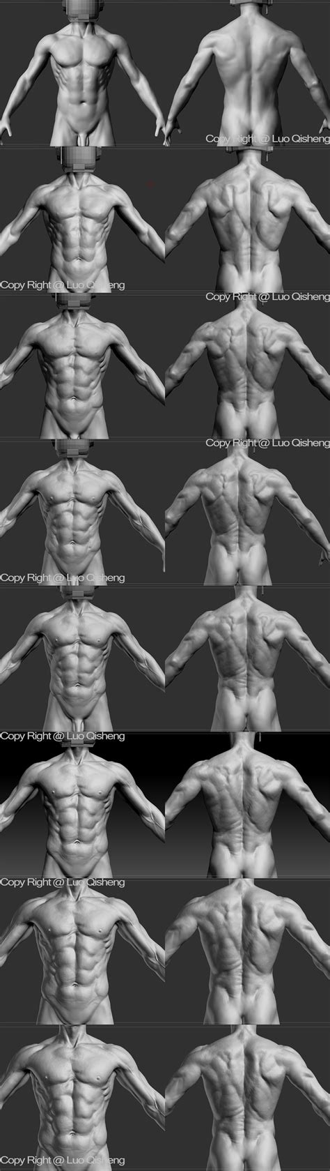 Sketch book for anatomy study - ZBrushCentral