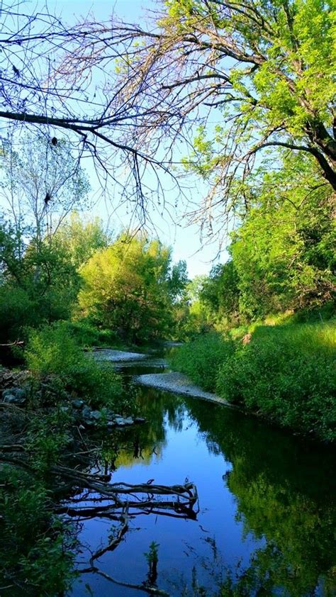 Restoring The Napa River - Growing Produce