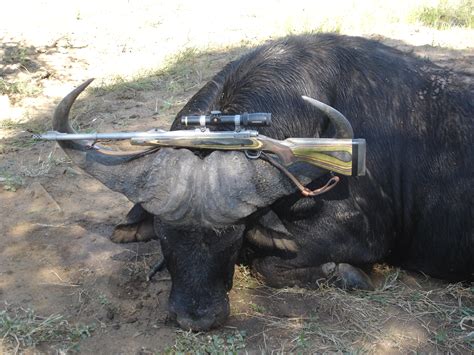 375 Ruger vs 416 Ruger for an all-around rifle | AfricaHunting.com