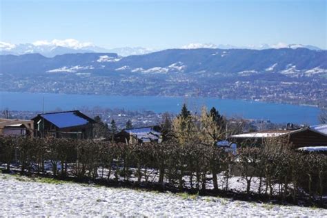 11 Things You Didn't Know About Zurich