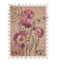 Vintage Flower Postcard Free Stock Photo - Public Domain Pictures