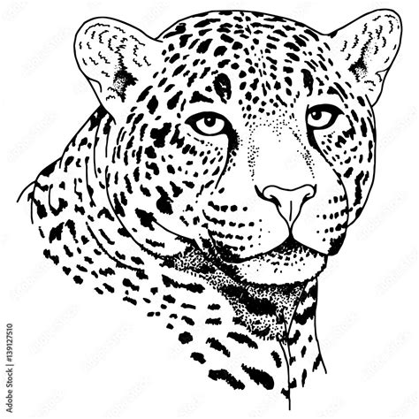 Leopard face tattoo ,Vector illustration, print vector de Stock | Adobe ...