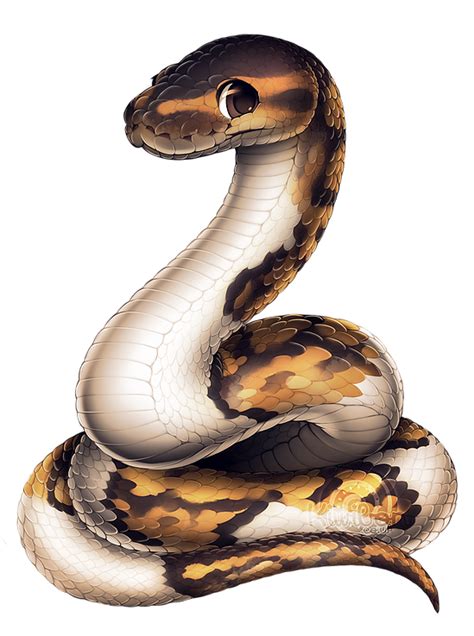 Python Drawing, Snake Drawing, Snake Art, Cute Food Drawings, Cute Animal Drawings, Kaa The ...