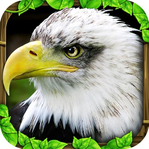 Eagle Simulator™ - Apps on Google Play