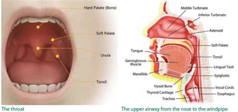 How can Snoring affect you? Blog Asonor