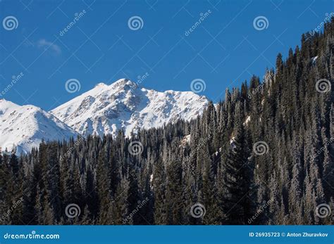 Winter Mountains Near Almaty in Kazakhstan Stock Image - Image of background, pine: 26935723